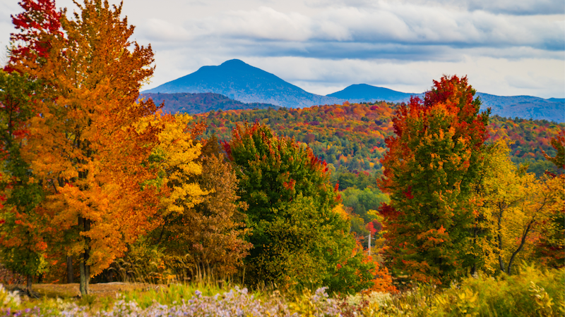Remote, Vermont